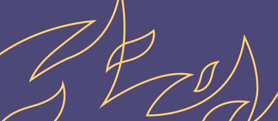 At Any Price: Israeli Taxpayers Funding “Price Tag” Settler Violence